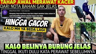 AWAL BELI KACER SAYA PAKAI CARA INI ⁉️ MAU 1000x BAHAN CARAKU BEGINI  Cara Merawat Kacer