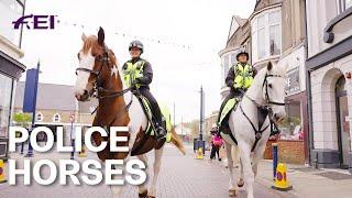 The South Wales Police and their horses on duty  RIDE presented by Longines