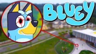 Drone Catches BLUEY HEELER From BLUEY IN REAL LIFE *BINGO BANDIT & CHILLI*