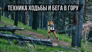 Все о технике ходьбыбега в гору. БОНУС - показываем на беговой дорожке KETTLER как подготовиться.