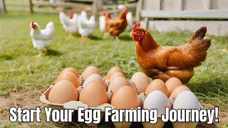 Eggcellent Eggs Mastering Free-Range Egg Farming