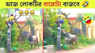 পশুদের মজার কর্মকান্ড    Animals Funny Video Bangla 2024  Part-14   Mayajaal  Bangla Rides