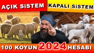 100 KOYUN ALINIR MI? - 2024 Koyunculuk