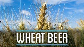 Wheat Beer from Scratch  How to Brew Everything