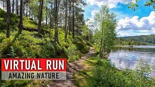 Trailrunners Paradise  60 min Virtual Run in Stunning Nature Scenery  Treadmill