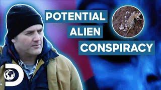 Unraveling Mysterious Cattle Mutilations Unveiling An Alien Conspiracy?  UFO Witness