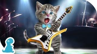 CARTOON LITTLE KITTEN ADVENTURE - KITTEN ROCK MUSIC KIDS FUN DANCE - MUSIC FOR KIDS