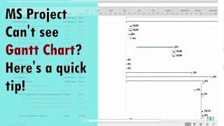 Where did my Tracking Gantt Chart go in MS Project?