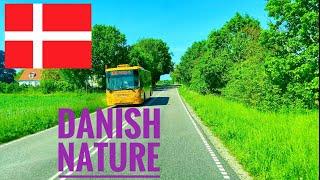 The charming nature of Denmark and stunning sea views  Driving in Denmark   4K Summer 2021