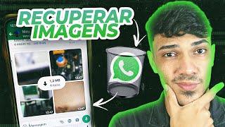 Como RECUPERAR FOTOS Apagadas do WhatsApp por quem enviou?