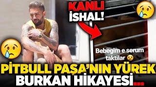 PİTBULL PAŞA NIN YÜREK BURKAN HİKAYESİ Sezar Yekin