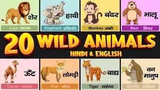 20 Wild Animals Name in Hindi and English with Pictures  20 जंगली जानवरों के नाम  Animals Name