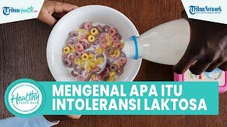 Mengenal Intoleransi Laktosa Penyebab Perut Kembung Setelah Konsumsi Susu yang Belum Kamu Tahu