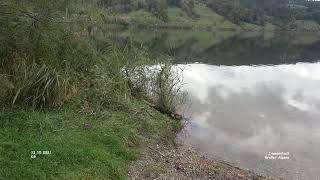 Großer Alpsee - Bühl a.Alpsee - Immenstadt