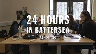 Rehoming  24 Hours In Battersea