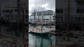 Classic Yachts in front of Hilton Hotel