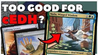 Nadu Winged Wisdom  Bringing MODERN and CEDHs BEST NEW DECK to BUDGET COMMANDER #edh