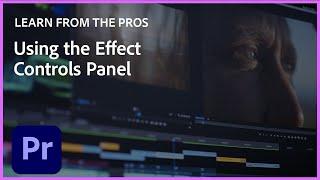 Learn from the Pros  Color Grading & Lumetri Color Panel with Becki & Chris  Premiere Pro Tutorial