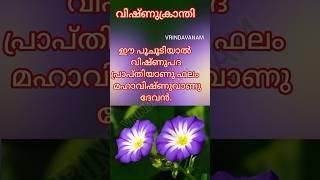 ദശപുഷ്പം വീട്ടിൽ ഐശ്വര്യം നിറക്കും#കർക്കിടക മാസം