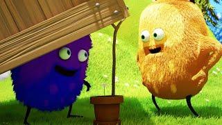 Hide and Seek  KIWI & STRIT Official  Season 1  Funny Cartoon Compilations