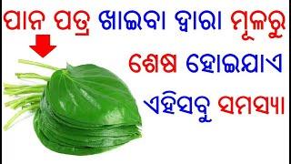 ପାନ ପତ୍ରର ଔଷଧୀୟ ଗୁଣ  Panapatra ra upakarita  Betel leaf benefits in Odia  Odia Health Tips