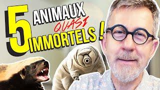 5 animaux quasi immortels  TOP 5