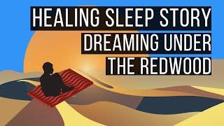 Dreaming Under The Redwood LONG BEDTIME STORY FOR GROWNUPS  Adult Bedtime Story
