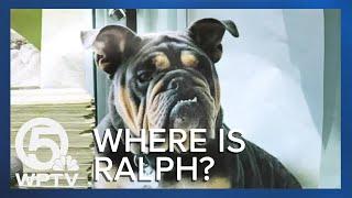 Where is Ralph? Dog disappears from boarding facility