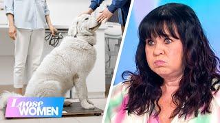 Would You Give Your Pet a Weight-Loss Jab?  Loose Women