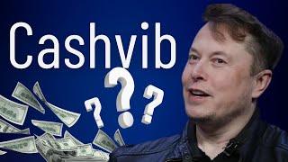 Cashvib Review Is It a SCAM? Watch Before You Try