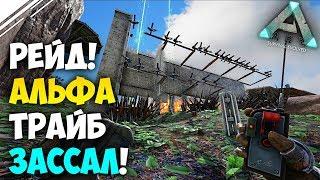 Рейд ссыкливого АЛЬФА трайба в АРК Поставили ВЫСКОЧЕК на место в ARK Survival Evolved