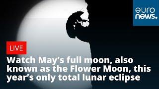 Watch May’s full moon also known as the Flower Moon this year’s only total lunar eclipse  LIVE