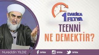 Teenni ne demektir?  Birfetva