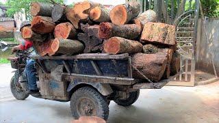 Compilation Tree Stumps Transformation Projects Of Genius Boy - Amazing Woodworking Skills And Ideas