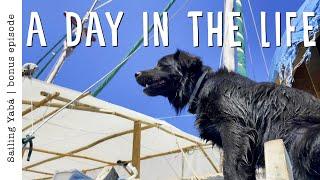 A day in the life of a shipyard dog DOG VLOG — Sailing Yabá