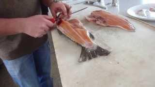 How to Fillet Brown Trout - Tips and Techniques by Knifetechnz