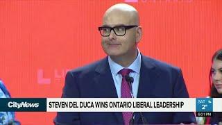 Ontario Liberals choose a new leader