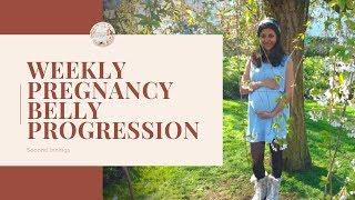 Weekly Pregnancy Belly Progression - Second Innings