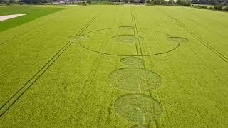 Wilton Windmill Wiltshire. Crop Formation. 12th June 2024. First formation of the year.