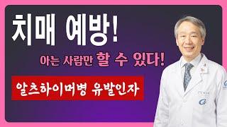 치매 예방 아는 사람만 할 수 있다ㅣ알츠하이머병 예방 골든타임