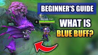BEGINNERS GUIDE WHAT IS BLUE BUFF