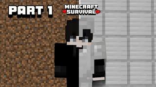 I made a fully iron armor  in my minecraft survival series part 1