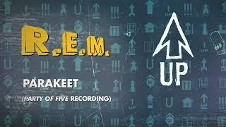 R.E.M. - Parakeet Party Of Five Recording - Official Visualizer  Up Deluxe Edition