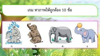 เกม หาภาพให้ถูกต้อง 10 ข้อ  VGameKids