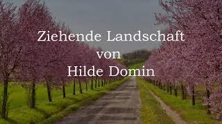 Ulrich Maiwald spricht Ziehende Landschaft ein Gedicht von Hilde Domin