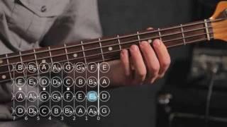 How to Play A   B Flat Minor Scale  Bass Guitar