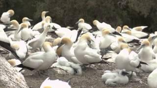 Golf Getaway at Cape Kidnappers 4x4 Quad Bike Adventures