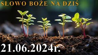 Słowo Boże na dziś 21.06.2024r. - Wspomnienie św. Alojzego Gonzagi zakonnika