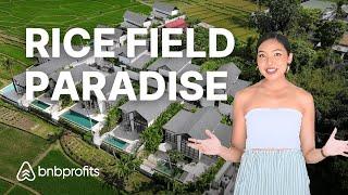 Modern Bali Villa Tour Pool & Rice Field Paradise