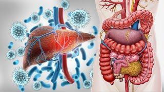 WARNING Purify Infections Eliminate Toxins Enhance Immunity  Regenerate the Whole Body- 432Hz #2